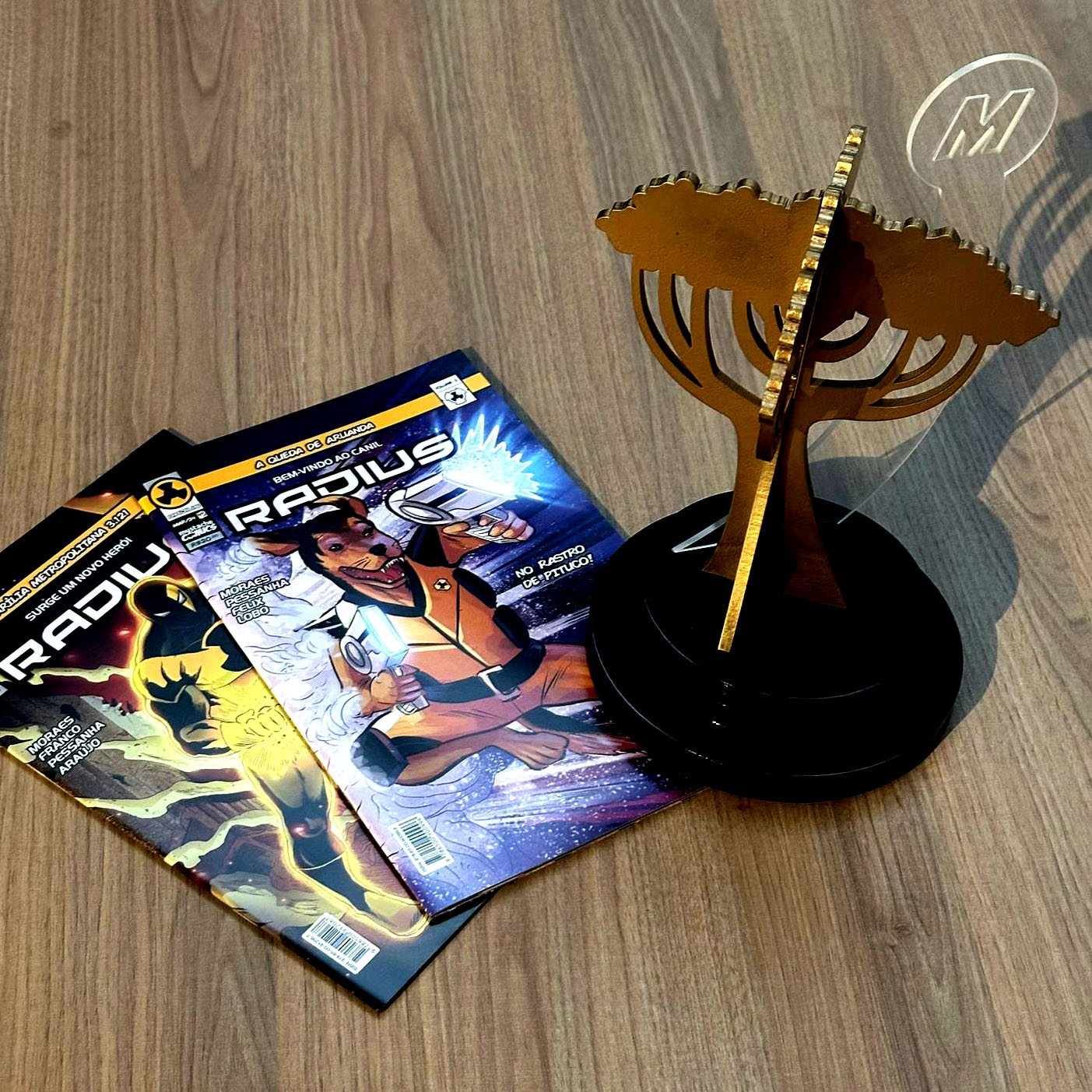 Awards received by RADIUS